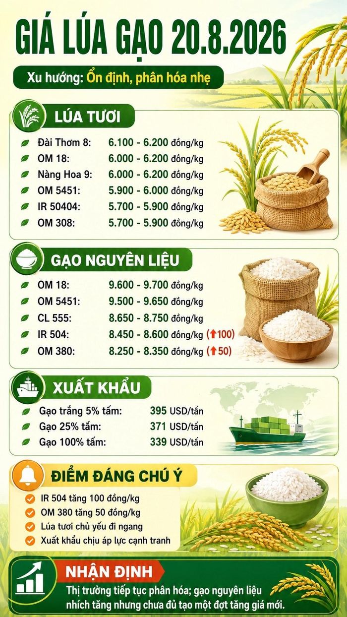 Các mức giá được tổng hợp theo dữ liệu thị trường ngày 20.8.2026; giá thực tế có thể chênh lệch tùy khu vực, chất lượng hàng và thời điểm giao dịch.