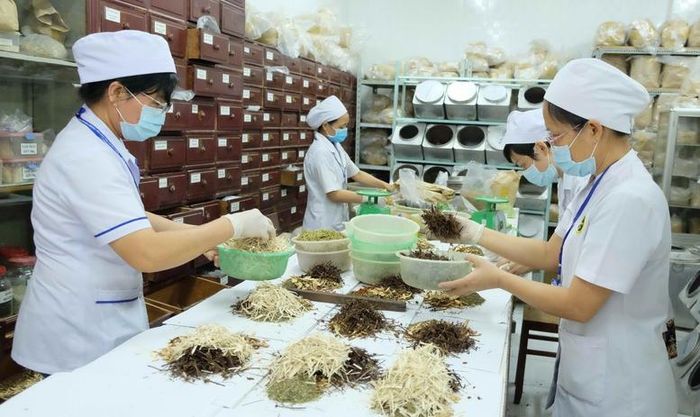 Hướng tới số hóa các bài thuốc y học cổ truyền