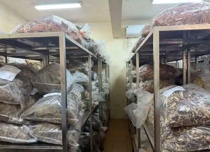 Ngành y tế đang tăng cường kiểm tra, kiểm soát kinh doanh dược liệu và thuốc cổ truyền, tránh tình trạng hàng giả, hàng kém chất lượng, không nguồn gốc, xuất xứ. (Ảnh: THÁI BÌNH)