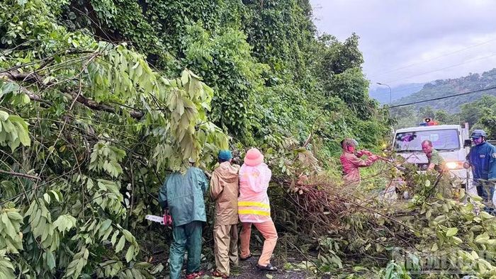 Lực lượng chức năng và người dân xử lý cây xanh ngã đổ trên Quốc lộ 20. (Ảnh: CTV)