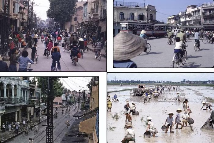 Các tác phẩm "Vô đề" của Daniel Roussel. (Ảnh: Ban tổ chức cung cấp)