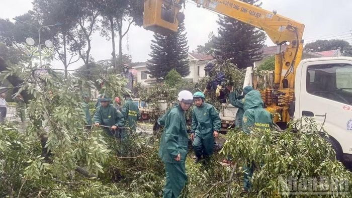 Các lực lượng chức năng nhanh chóng xử lý hiện trường sau khi lốc xoáy đi qua.