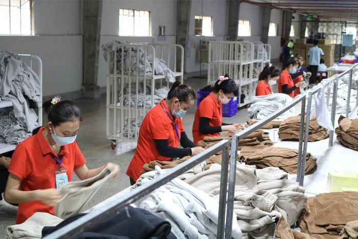  Công nhân làm việc tại Công ty TNHH MTV May mặc Tân Đạt ở xã Mộc Hóa, tỉnh Tây Ninh. Ảnh: NGUYỄN PHÚ VINH 