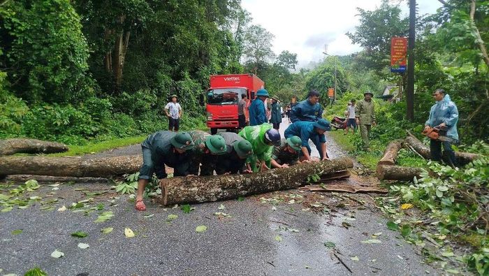 Bộ đội, dân quân xã Tam Thái dọn dẹp cây cối ngã đổ chắn ngang đường.