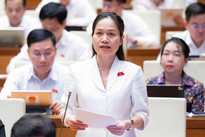 Đại biểu Siu Hương (đoàn Gia Lai) phát biểu thảo luận. Ảnh: Văn phòng Quốc hội
