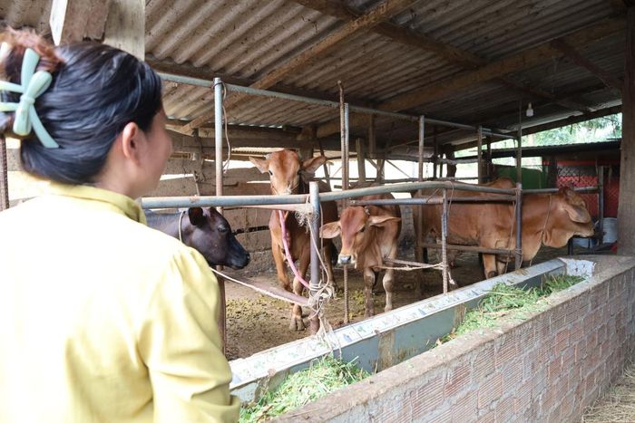 Người dân xã Phước Năng với mô hình chăn nuôi, phát triển kinh tế.