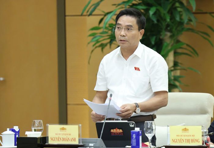  Phó Chủ tịch Quốc hội Nguyễn Doãn Anh phát biểu tại phiên họp. Ảnh: QUANG PHÚC 