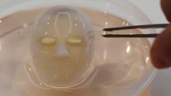 Mô da sinh học được thiết kế để kéo giãn theo chuyển động của cấu trúc robot thay vì bị bong hoặc rách. Nguồn ảnh: ScienceDirect