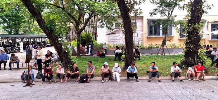 Phụ huynh ngồi chờ con làm thủ tục bên ngoài sân trường xanh mát.