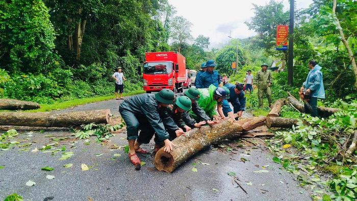 Chính quyền cùng người dân và lực lượng chức năng xã Tam Quang dọn dẹp cây đổ trên đường (Ảnh người dân cung cấp)