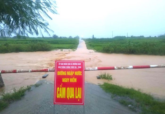 Không chỉ tại xã Tam Thái, trong ngày 20/8, nhiều địa phương trên địa bàn tỉnh Nghệ An xảy ra mưa lớn. Nước sông, suối dâng cao gây ngập các tuyến đường, cầu tràn khiến giao thông đi lại khó khăn, nguy hiểm.