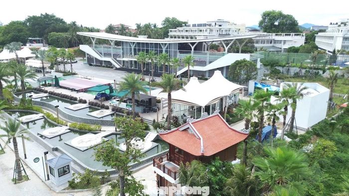 Theo ông Hoàng Việt Cường - Chánh Văn phòng UBND TP. Huế, sau khi UBND phường Thuận Hóa phát hiện các vi phạm và ban hành quyết định xử phạt hành chính, chủ đầu tư là Công ty TNHH Đầu tư và Vận tải An Phú Minh đã đề nghị điều chỉnh các hồ sơ liên quan nhằm giữ lại những hạng mục đã xây dựng để bảo đảm tính đồng bộ của dự án. Tuy nhiên, qua xem xét, cơ quan chức năng xác định đề nghị này không có cơ sở giải quyết.