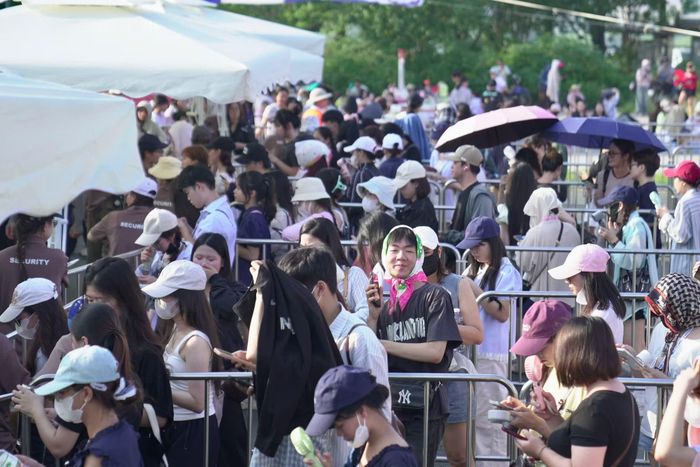 Các concert lớn, nhỏ hơn một năm qua tạo bức tranh sôi động cho thị trường nghệ thuật biểu diễn.