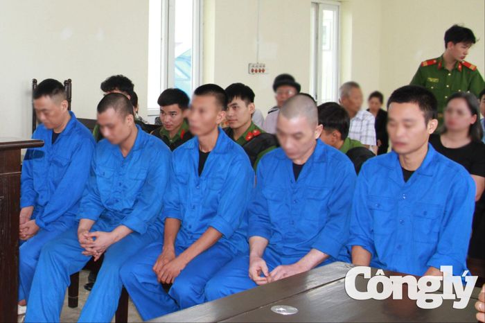 Các bị cáo Phan Văn Dũng, Mai Văn Lâm, Nghiêm Xuân Biên, Phạm Quang Hiếu và Nguyễn Văn Khánh tại phiên tòa.