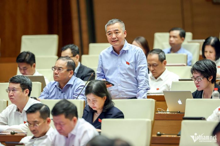 Đại biểu Nguyễn Lân Hiếu phát biểu sáng nay