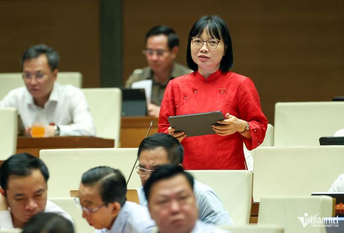 Đại biểu Nguyễn Thị Việt Nga