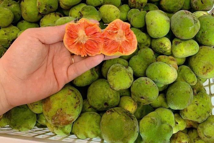 Quả chay có nhiều tác dụng tốt sức khỏe. Ảnh: Liên Nguyễn.