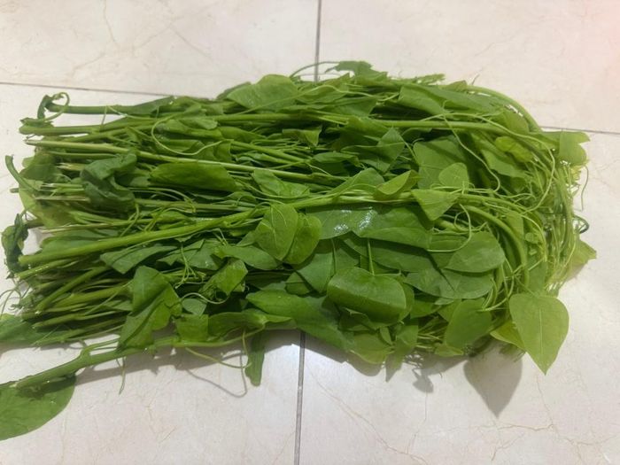 Rau bò khai được nhiều người tìm mua. Ảnh: Hoa Linh.