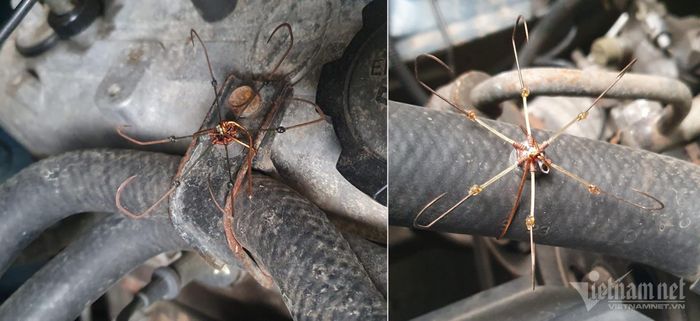 Buộc một số chùm lưỡi câu cá trong khoang động cơ là cách chống chuột rẻ tiền và hiệu quả. Ảnh: Nguyễn Đức Thắng