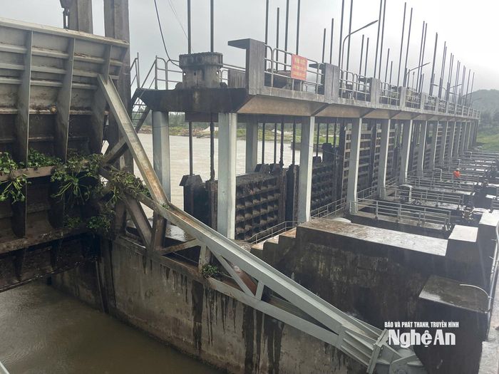 Bara Nghi Quang mở tất cả các cửa cống để tiêu úng cho vùng nội đồng. Ảnh: Thúy Vinh