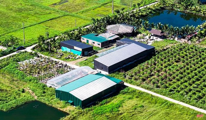 Khu trang trại của HTX Thanh niên Thành Sen sau khi tái đầu tư theo hướng sản xuất nông nghiệp hiện đại.