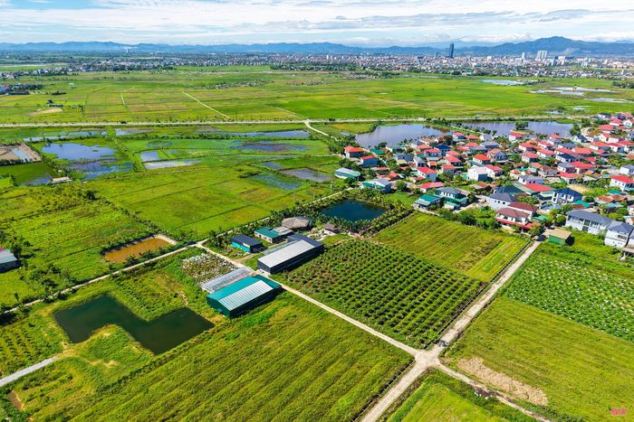  Khu trang trại HTX Thanh niên Thành Sen (phường Trần Phú, Hà Tĩnh). 