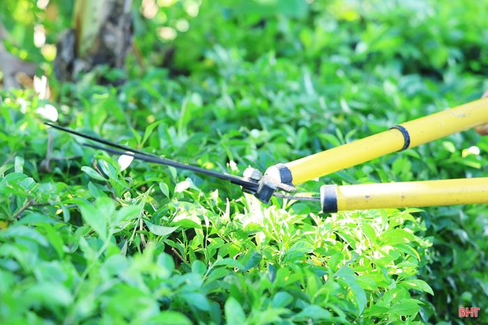 Trưởng thôn Nguyễn Tuấn Anh luôn đi đầu trong các hoạt động xây dựng nông thôn mới của địa phương.