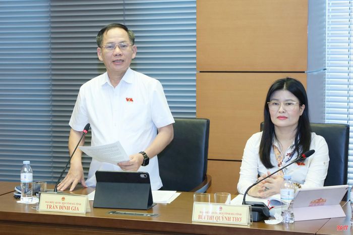 Đại biểu Trần Đình Gia - Phó Trưởng đoàn chuyên trách Đoàn ĐBQH tỉnh tham gia thảo luận.