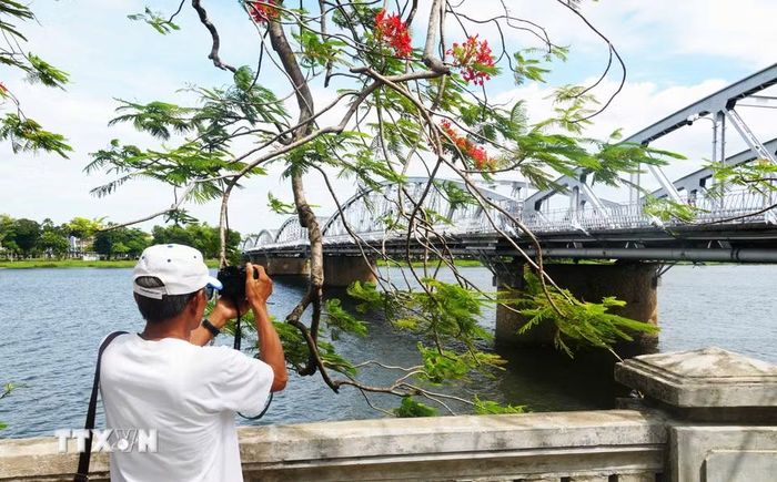 Du khách chụp ảnh cầu Trường Tiền trên sông Hương ở trung tâm thành phố Huế. (Ảnh: Nguyên Lý/TTXVN)
