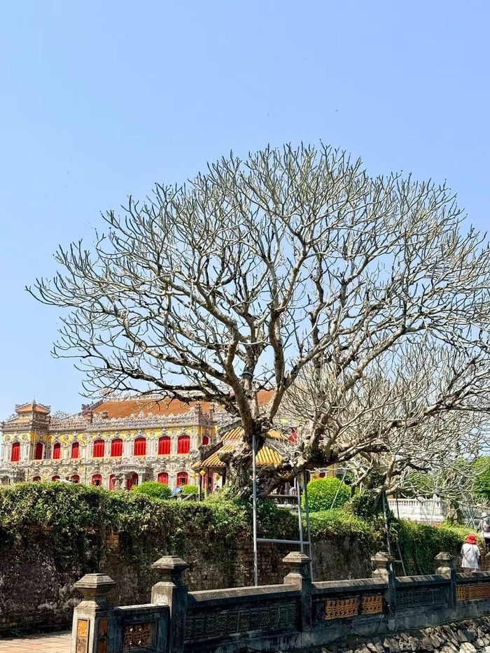 Việc phát triển các sản phẩm du lịch gắn với văn hóa, nghệ thuật và trải nghiệm góp phần nâng cao sức hấp dẫn của Huế trên bản đồ du lịch quốc tế. (Ảnh: PV/Vietnam+)