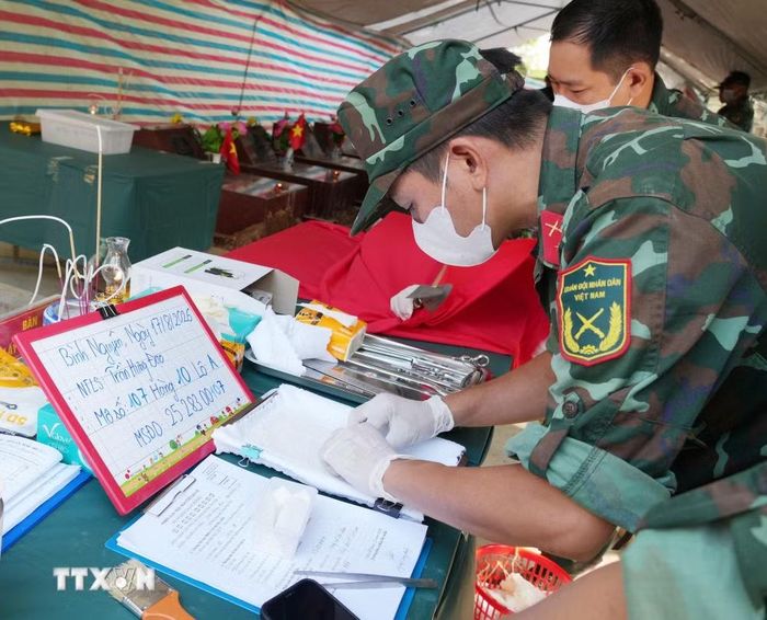 Các chiến sỹ Bộ chỉ huy quân sự tỉnh Phú Thọ lấy mẫu hài cốt liệt sĩ phục vụ giám định ADN, xác định danh tính. (Ảnh: Nguyễn Thảo/TTXVN)