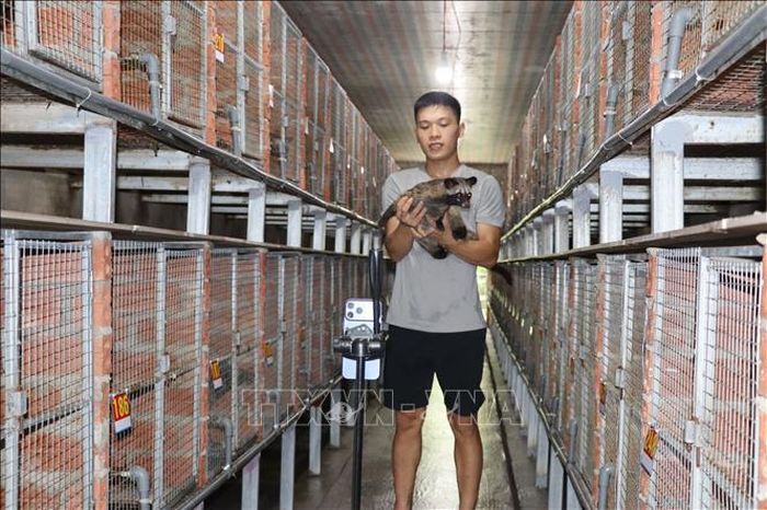 Anh Lê Văn Phước giới thiệu về kỹ thuật chăm sóc chồn hương.