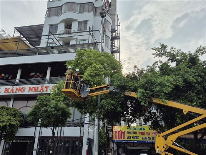Công nhân cắt tỉa những cành cây có nguy cơ gãy đổ khi mưa bão lớn xảy ra.