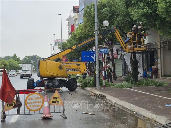 Khu vực cắt tỉa cây được căng dây, dựng hàng rào chắn để đảm bảo an toàn khi thi công.