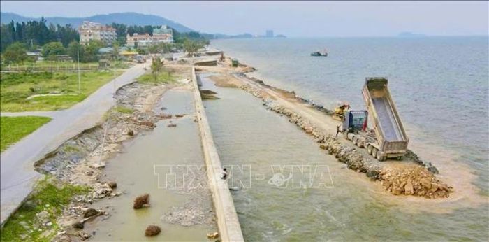 Tỉnh Thanh Hoá đang gấp rút đẩy nhanh tiến độ thi công các công trình, dự án khắc phục hậu quả thiên tai xảy ra trong năm 2025, nhất là những tuyến đê, kè xung yếu. Ảnh: Hoa Mai/TTXVN