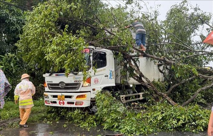 Lực lượng chức năng xử lý cây rừng ngã đổ vào xe tải lưu thông qua quốc lộ 20, đoạn qua Khu du lịch Madagui (xã Đạ Huoai), nhưng không gây thiệt hại. Ảnh: TTXVN phát