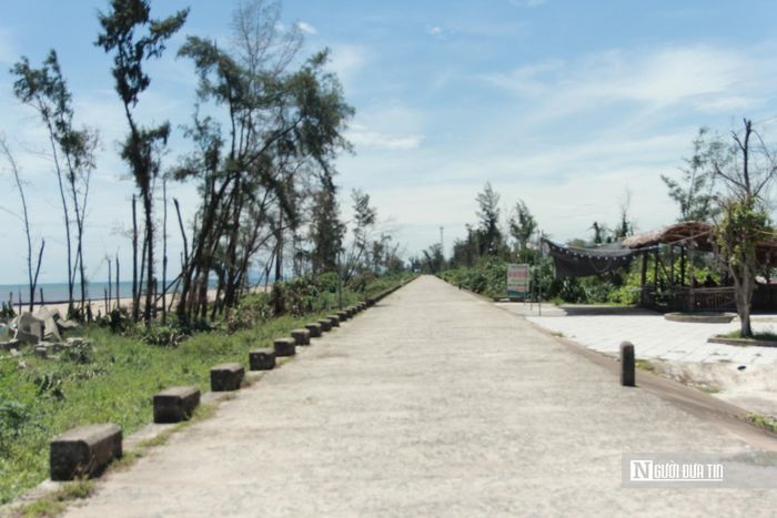 UBND tỉnh Hà Tĩnh cũng đã chỉ đạo các địa phương, ban quản lý rừng phòng hộ cùng các sở, ngành liên quan huy động tối đa nguồn lực, kịp thời bố trí kinh phí để trồng lại rừng phòng hộ, rừng đặc dụng bị thiệt hại do thiên tai, trong đó có rừng phi lao ven biển.