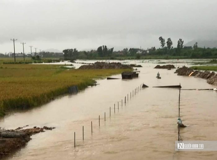 Mưa lớn làm nhiều diện tích lúa bị ngập úng, một số tuyến đường bị sạt lở. Ảnh Tài Tuấn.