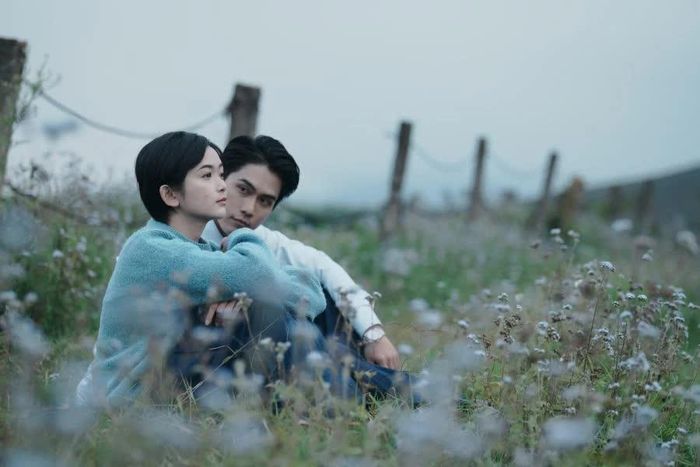 Hình ảnh trong MV