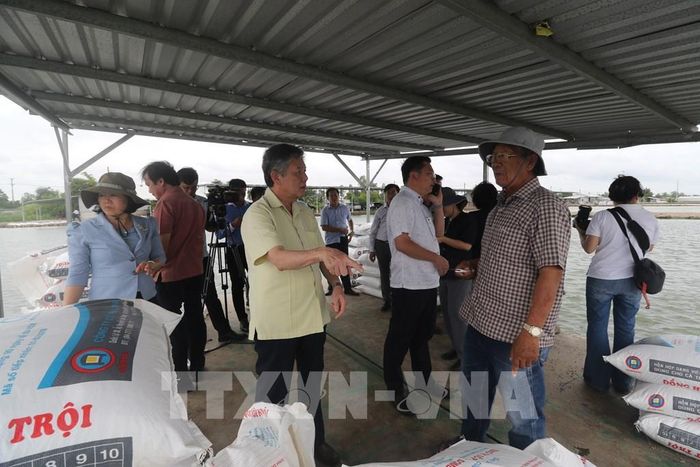 Đoàn công tác khảo sát mô hình nuôi cá tra tại phường Hồng Ngự. Ảnh: Hồng Thái – TTXVN