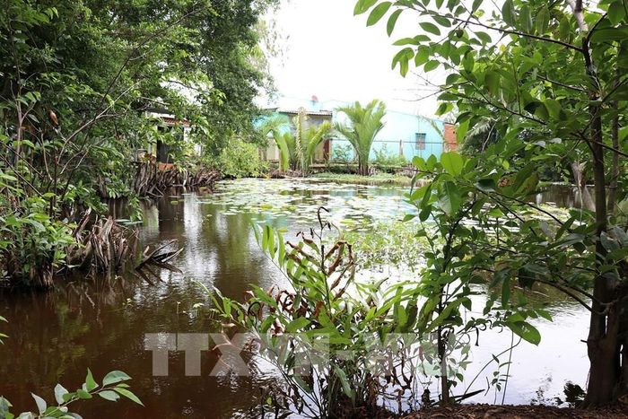 Ao Dinh ở xã Tân Đông (Đồng Tháp), nơi Anh hùng dân tộc Trương Định tuẫn tiết để không rơi vào tay giặc. Ảnh: Hữu Chí - TTXVN