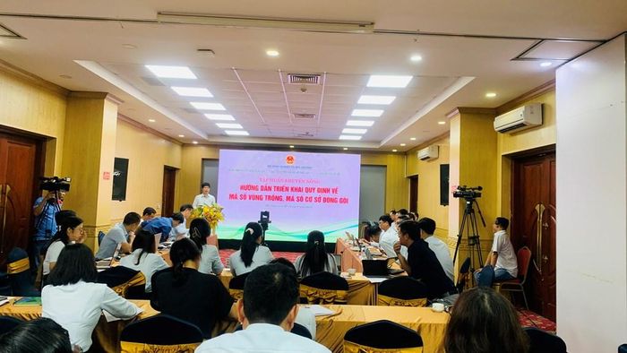 Trung tâm Khuyến nông quốc gia (Bộ Nông nghiệp và Môi trường) tổ chức lớp tập huấn khuyến nông hướng dẫn triển khai quy định về mã số vùng trồng, mã số cơ sở đóng gói. Ảnh: Hằng Trần
