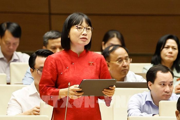 Đại biểu Quốc hội TP Hải Phòng Nguyễn Thị Việt Nga phát biểu. Ảnh: Doãn Tấn - TTXVN