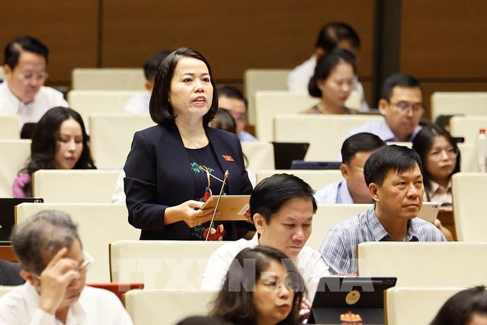 Đại biểu Quốc hội tỉnh Tuyên Quang Lý Thị Lan phát biểu. Ảnh: Doãn Tấn - TTXVN