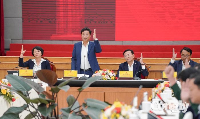 Đại biểu Ban Chấp hành Đảng bộ tỉnh biểu quyết thống nhất toàn bộ nội dung các tờ trình.