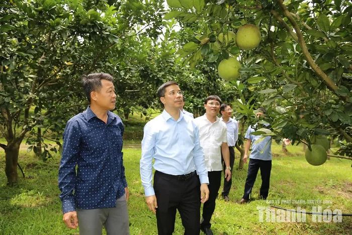 Phó Bí thư Thường trực Tỉnh ủy Nguyễn Hồng Phong thăm mô hình trang trại tổng hợp VAC tại xã Đồng Lương.