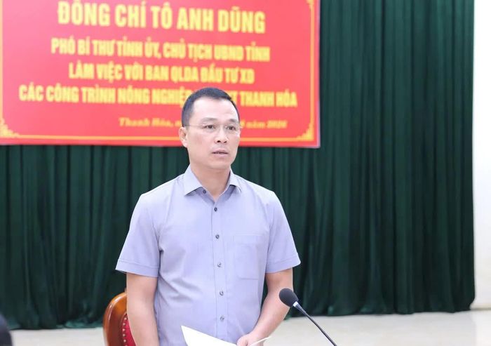 Chủ tịch UBND tỉnh Tô Anh Dũng phát biểu chỉ đạo tại buổi làm việc.