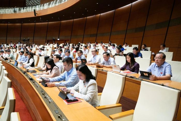 Các đại biểu tham dự phiên họp sáng ngày 20/8. Ảnh: Quốc hội