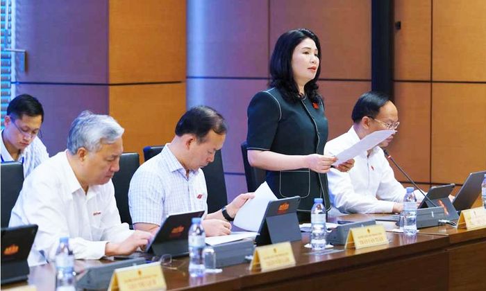 Các đại biểu tham dự phiên thảo luận tổ chiều 20/8.