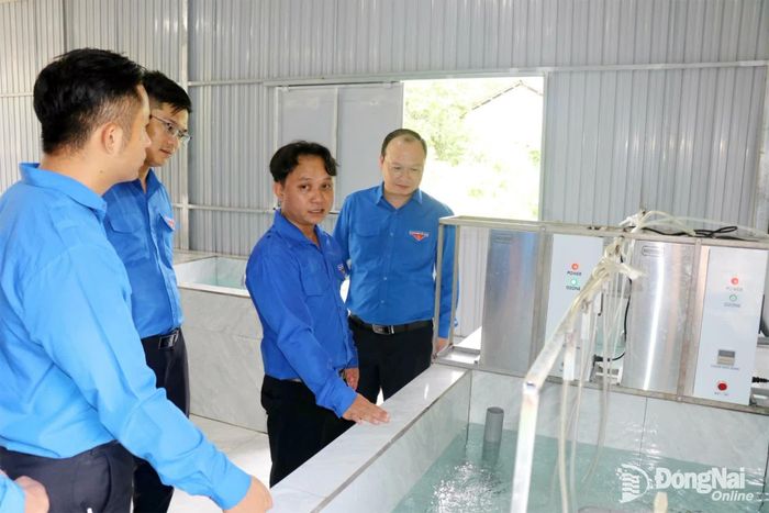 Đoàn kiểm tra đến thăm Đội hình tình nguyện tại Trường TH-THCS Lộc An và mô hình Chanh hoa tím của thanh niên Tân Tiến. Ảnh: Ngọc Huyền
